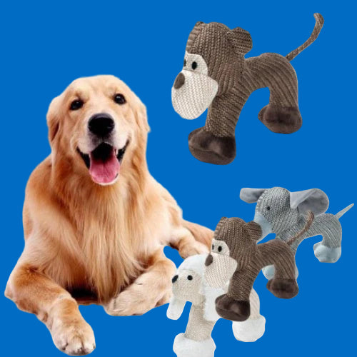 Fantastisches Hundespielzeug